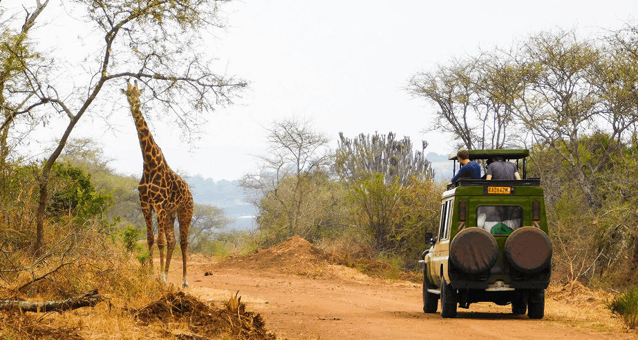 Rwanda landscape invitation